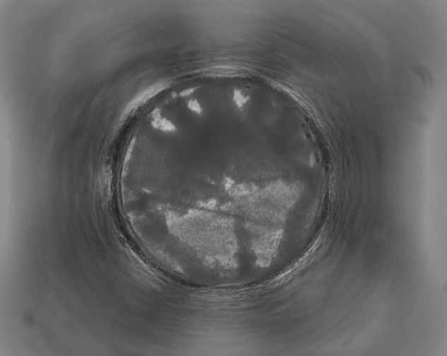 X0000113081402200909250940