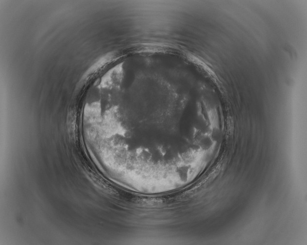 X0000113081403200909250940