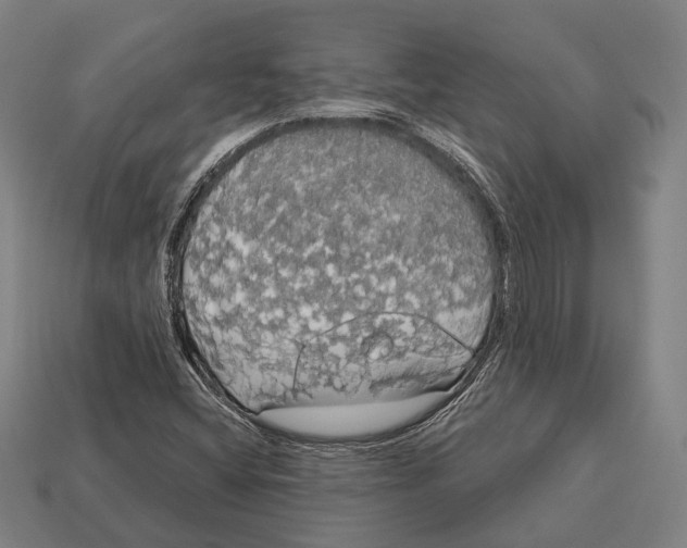 X0000113081404200909250940
