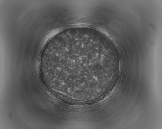 X0000113081405200909250940