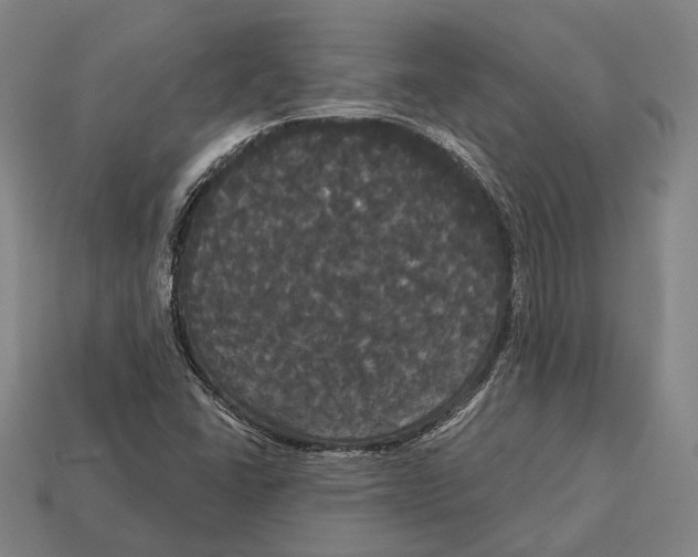 X0000113081406200909250940