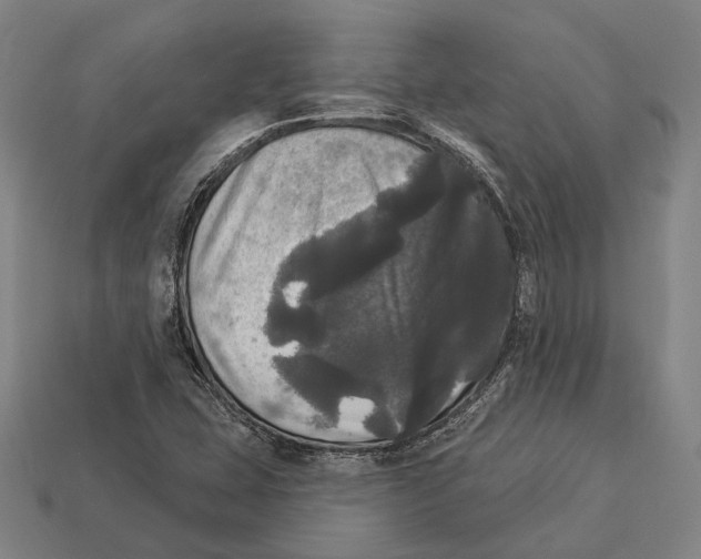 X0000113081407200909250940