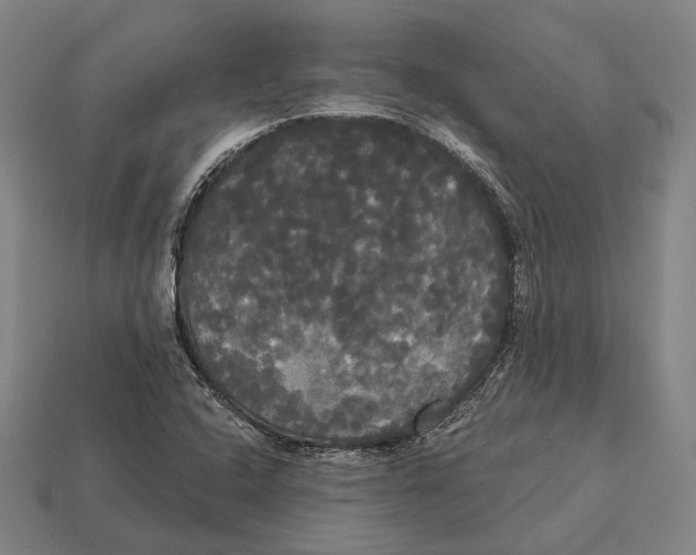 X0000113081408200909250940