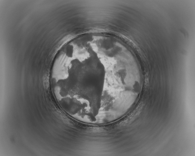 X0000113081409200909250940