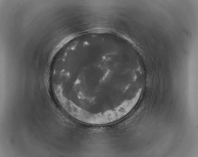 X0000113081410200909250940