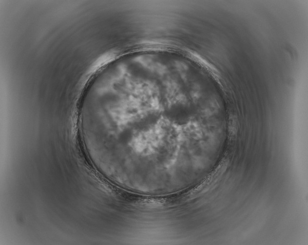 X0000113081411200909250940