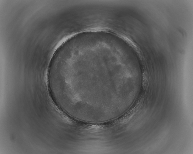 X0000113081412200909250940