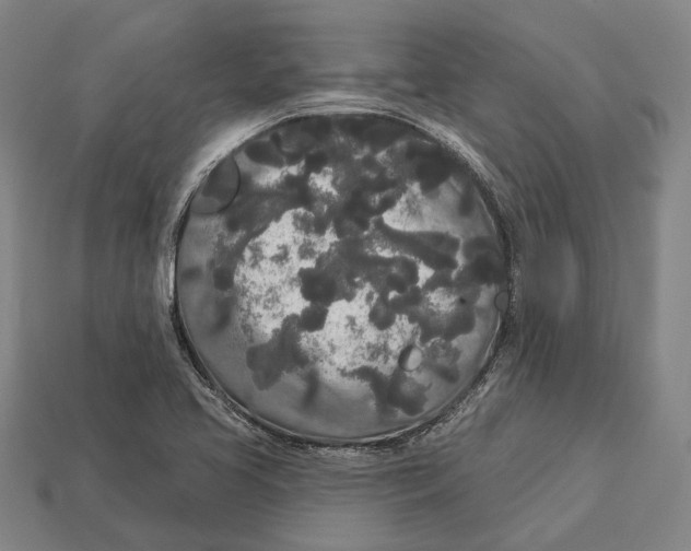 X0000113081413200909250940