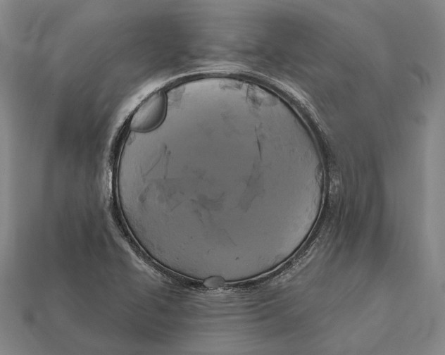 X0000113081414200909250940