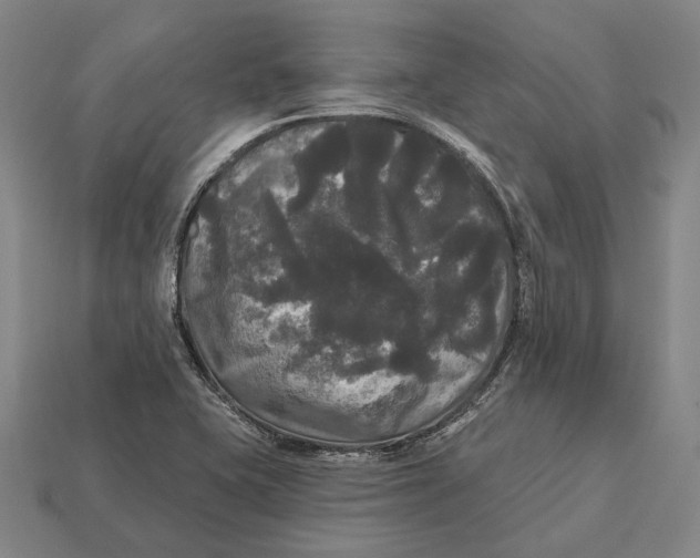 X0000113081415200909250940