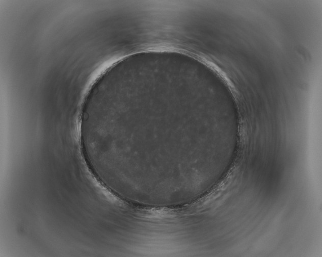 X0000113081416200909250940