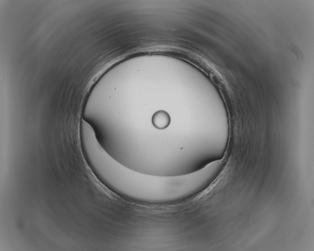 X0000113081417200909250940