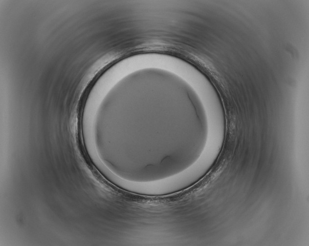 X0000113081418200909250940