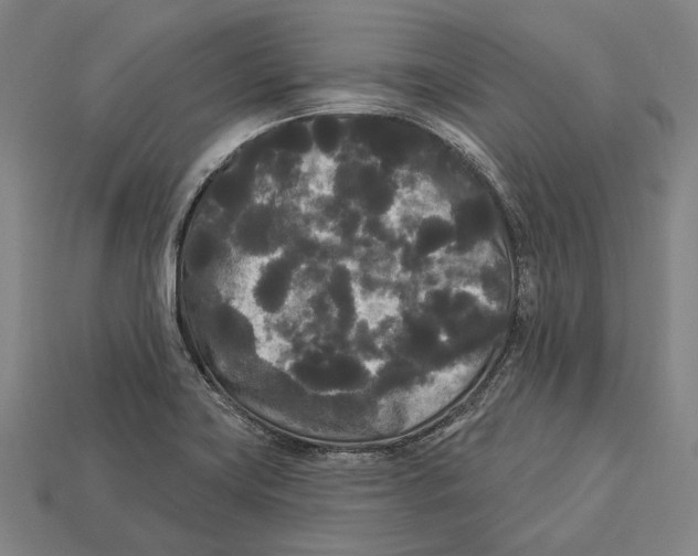 X0000113081419200909250940