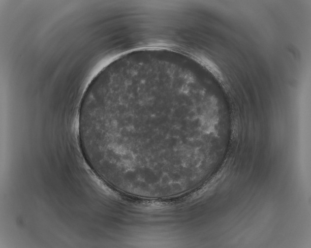 X0000113081420200909250940