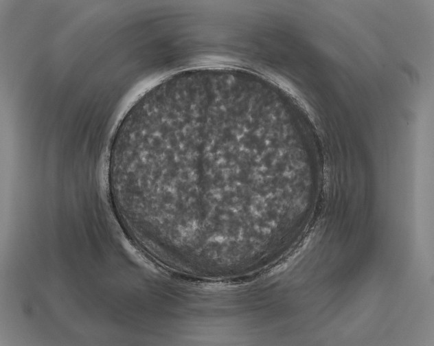 X0000113081421200909250940