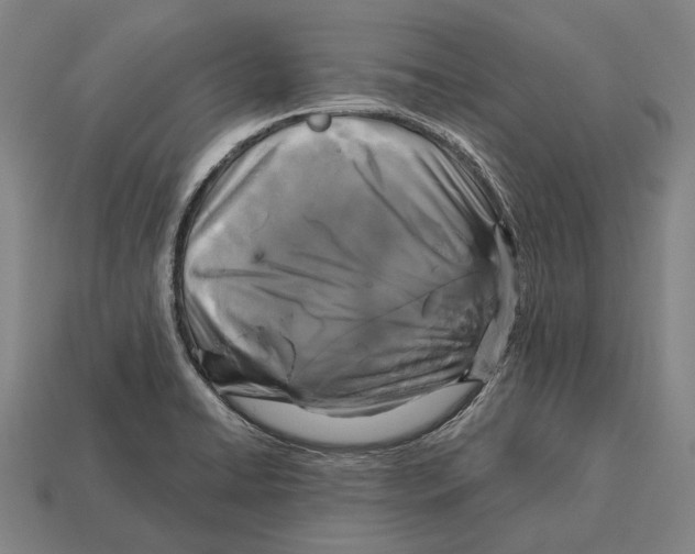 X0000113081422200909250940