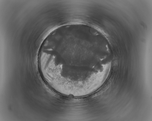 X0000113081423200909250940