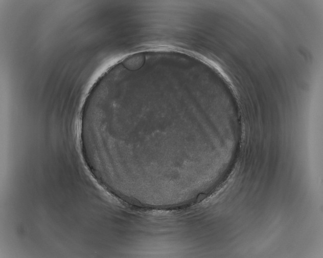 X0000113081424200909250940