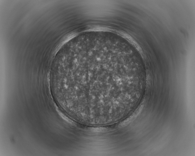 X0000113081425200909250940