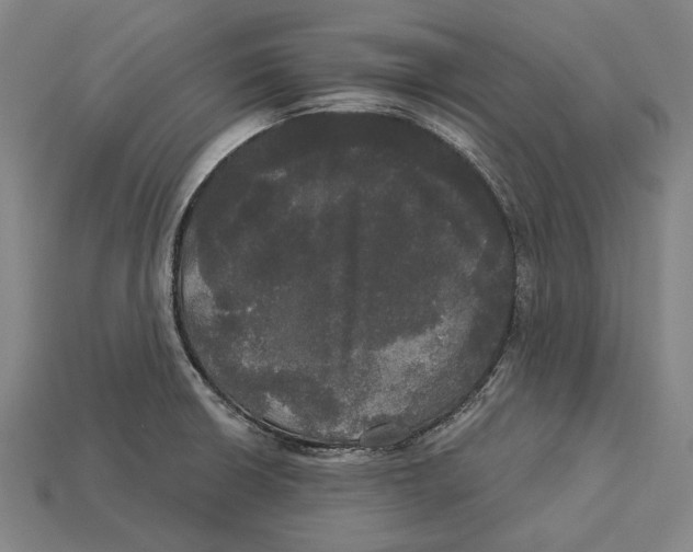 X0000113081426200909250940