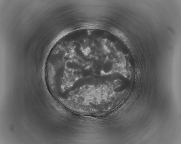 X0000113081427200909250940