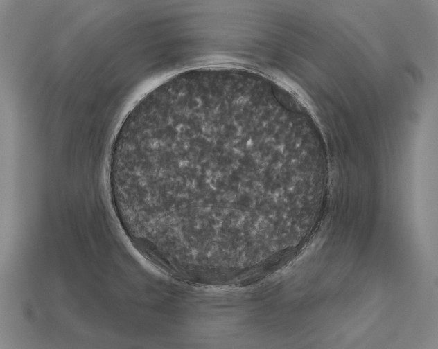 X0000113081429200909250940