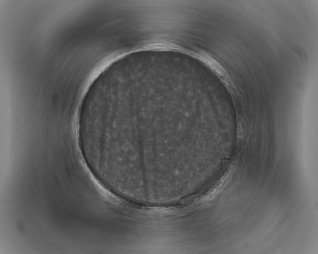 X0000113081430200909250940