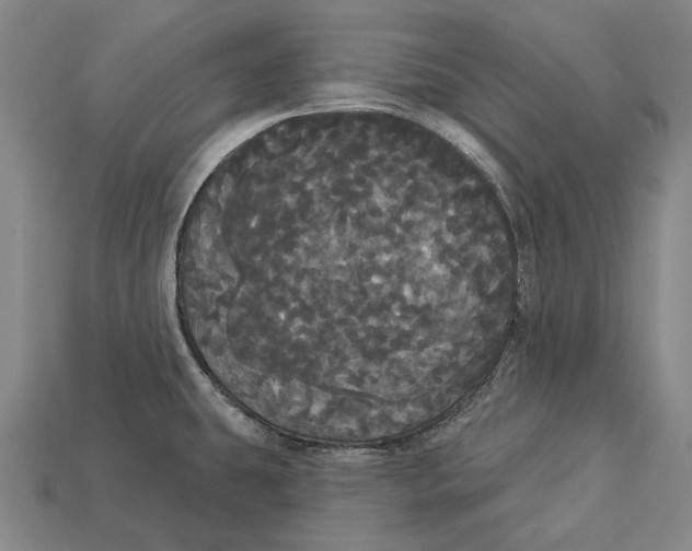 X0000113081431200909250940