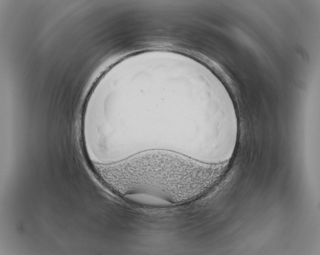X0000113081432200909250940