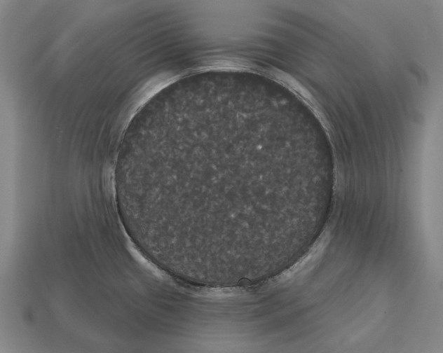 X0000113081433200909250940