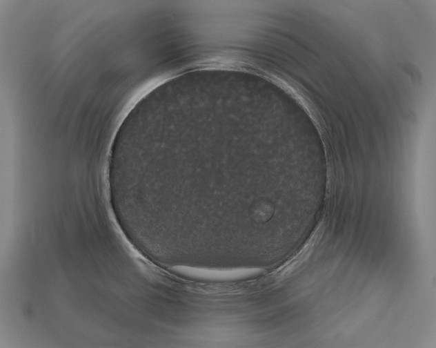 X0000113081434200909250940
