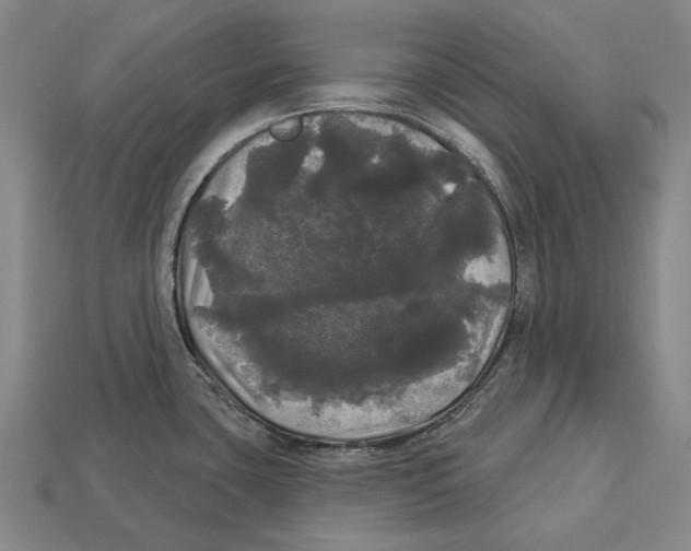 X0000113081435200909250940
