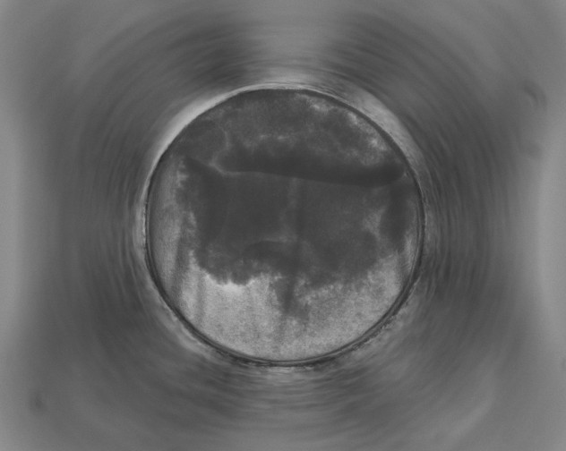 X0000113081436200909250940