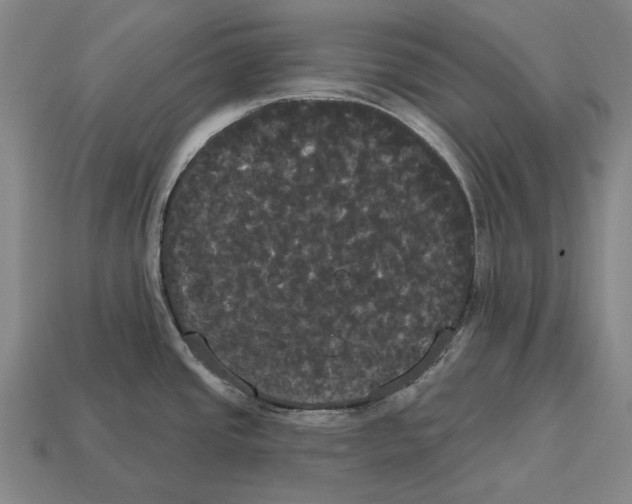 X0000113081437200909250940
