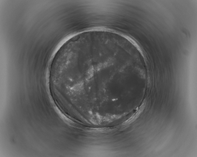 X0000113081438200909250940
