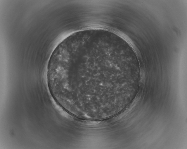 X0000113081439200909250940