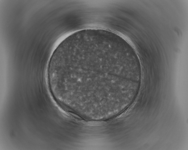 X0000113081440200909250940