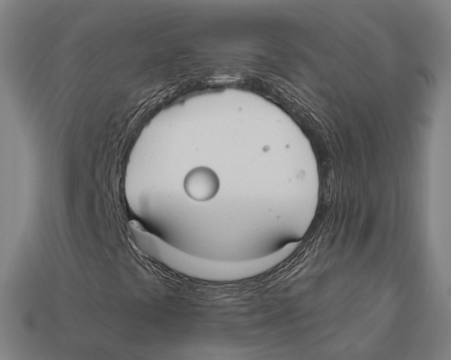 X0000113081441200909250940