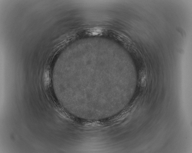 X0000113081442200909250940