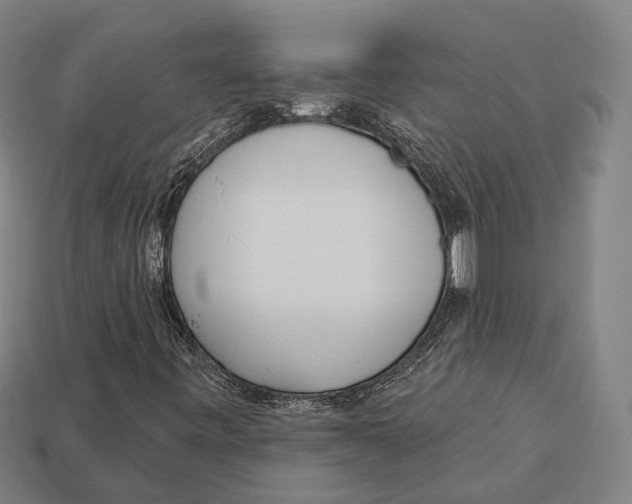 X0000113081443200909250940