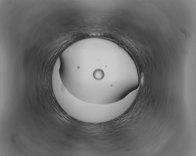 X0000113081444200909250940