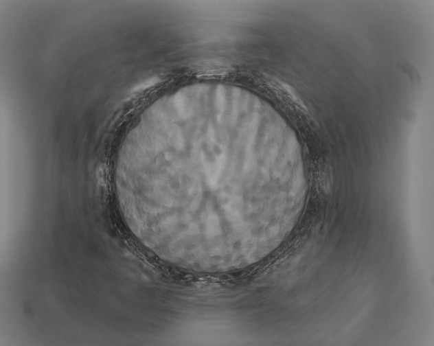 X0000113081445200909250940