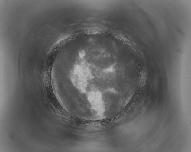 X0000113081446200909250940