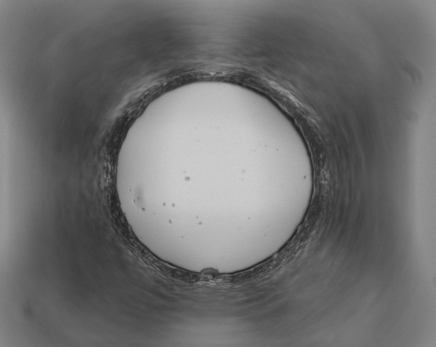 X0000113081447200909250940