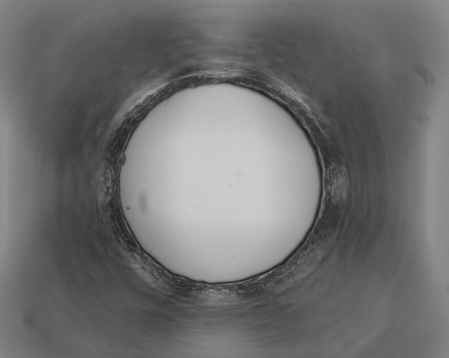 X0000113081448200909250940