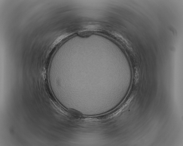 X0000113081449200909250940