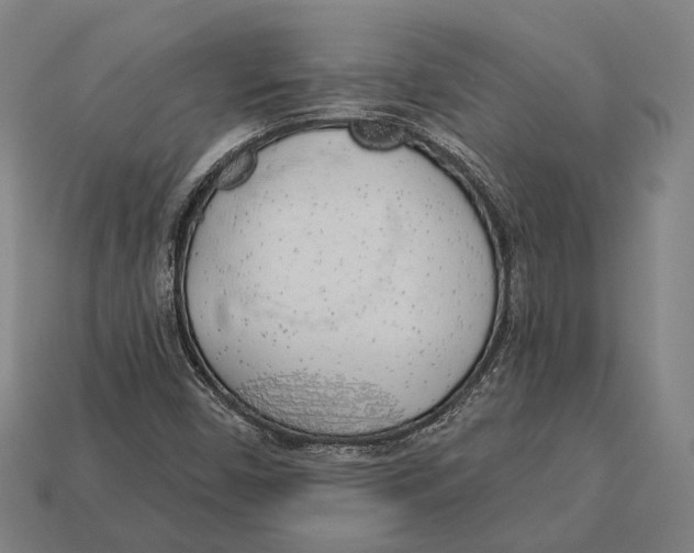 X0000113081450200909250940