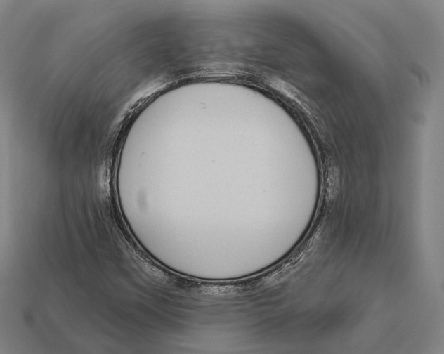 X0000113081451200909250940