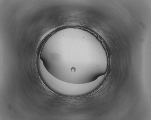 X0000113081452200909250940